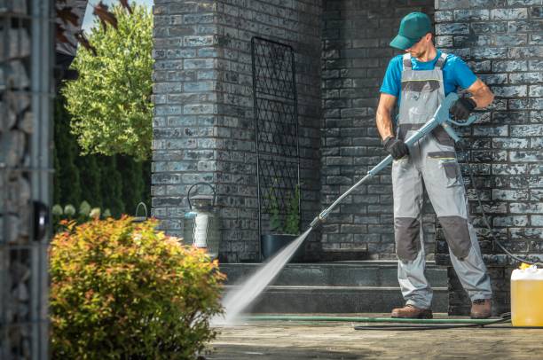 Best Paint Preparation  in Chenoa, IL