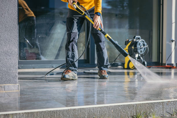 Best Sidewalk and Walkway Cleaning  in Chenoa, IL